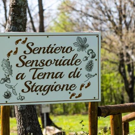 Capanne di Sillano Villaggio Anemone - Chalet Anemone מראה חיצוני תמונה