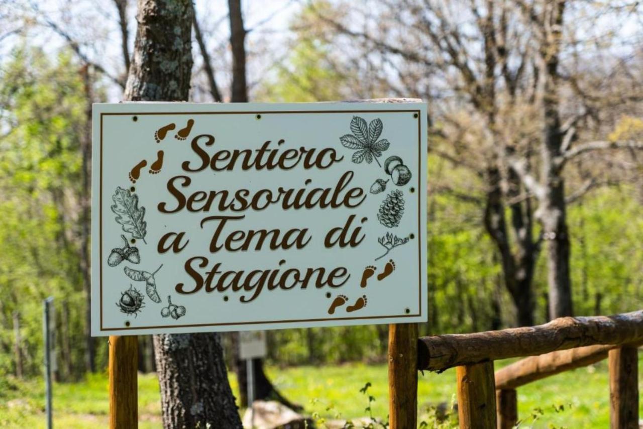 Capanne di Sillano Villaggio Anemone - Chalet Anemone מראה חיצוני תמונה