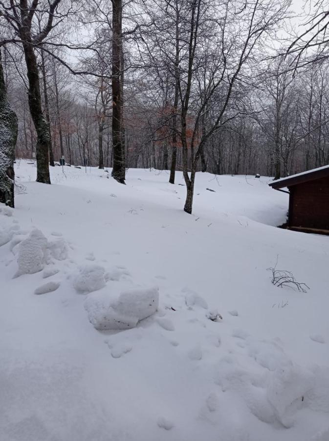Capanne di Sillano Villaggio Anemone - Chalet Anemone מראה חיצוני תמונה