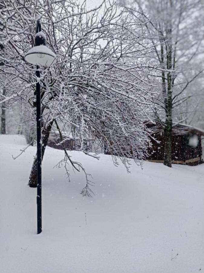 Capanne di Sillano Villaggio Anemone - Chalet Anemone מראה חיצוני תמונה